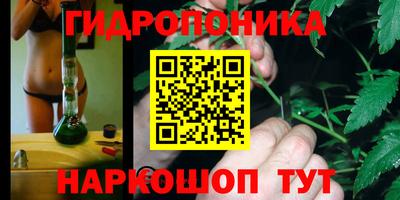 сатива Волжский