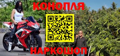 сатива Волжский