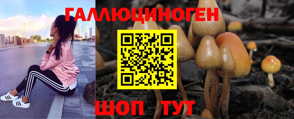 Галлюциногенные грибы Psilocybine cubensis  Вход с VPN  Красногорск 